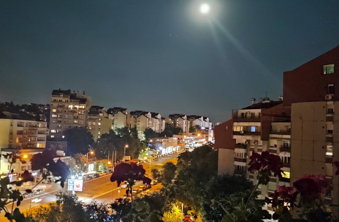 trgovacka-ulica-zarkovo